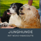 Shop-Junghunde