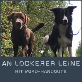 Shop-LockereLeine_Word