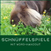 Shop-Schnüffelspiele