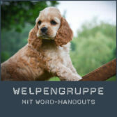 Shop-Welpe_Word