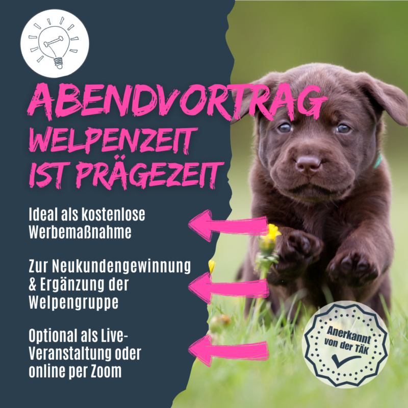 Prägezeit des Welpen nutzen