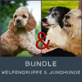Shop-BundleWelpeJunghund