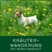 shop-kraeuterwanderung_word