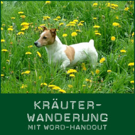 Shop-Kräuterwanderung_Word