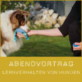 Shop-Lernverhalten