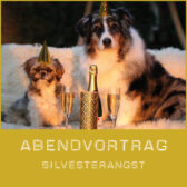 Shop-Silvester