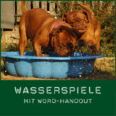 Shop-Wasserspiele