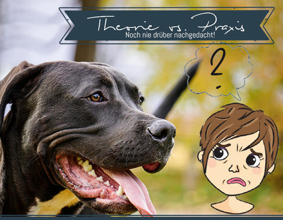 theorie_vs_praxis