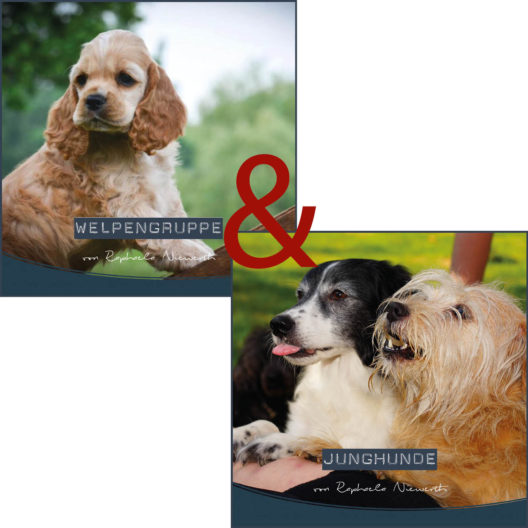 shop_bundle-welpen-junghunde