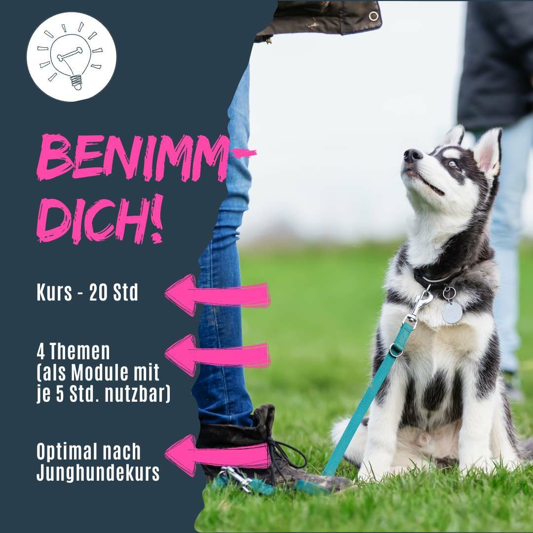 benimm dich produktbild