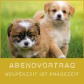 shop-welpenzeit