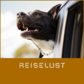 Shop-Reiselust