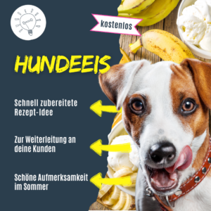 Rezept für Hundeeis