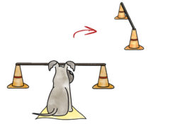 fuehruebung_huerde-2