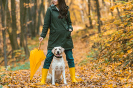 cute-golden-retriever-sitting-between-legs-of-woman-in-rubber-boots-with-yellow-umbrella-in-autumnal-forest
