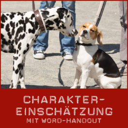 shop-charaktereinschaetzung_word