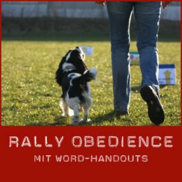 Shop-Rally-Obedience_Word