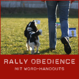 Shop-Rally-Obedience_Word