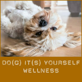 Shop-Wellness