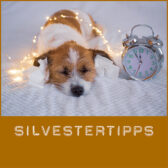 shop-silvestertipps