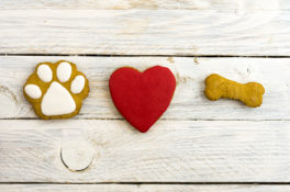 Dog's paw, red heart and bone. A dog loves bones.