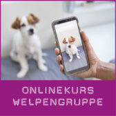 Welpengruppe Onlinekurs