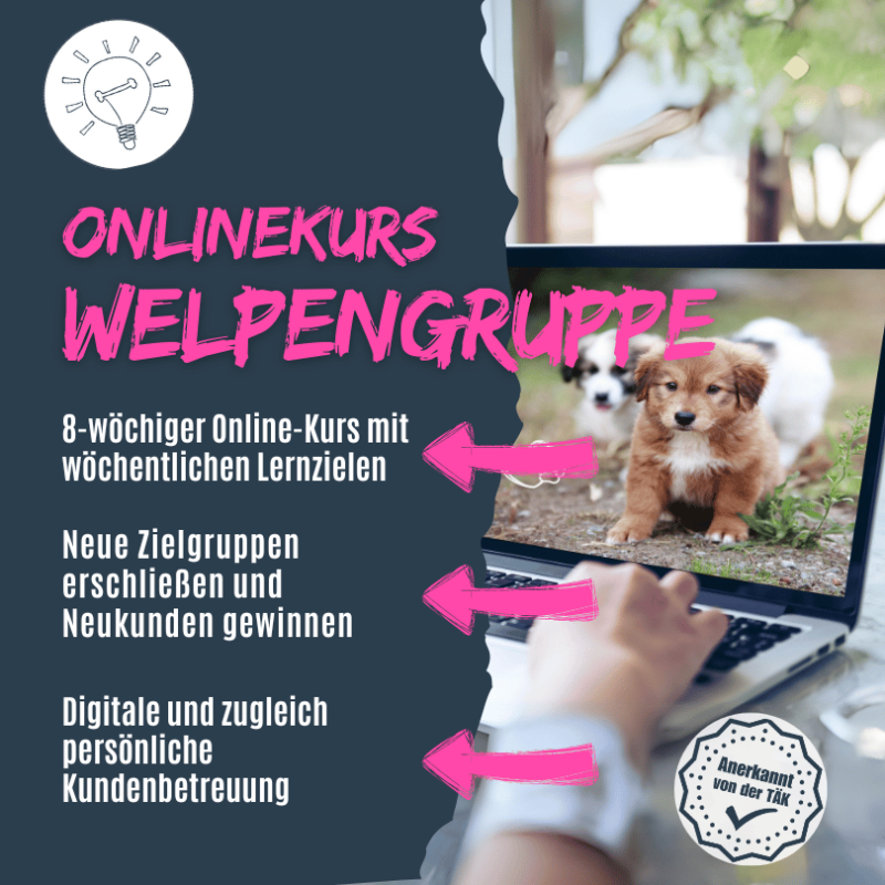 Online-Welpenkurs für deine Hundeschule