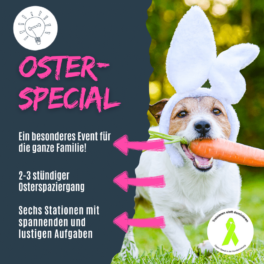 shop_osterspecial