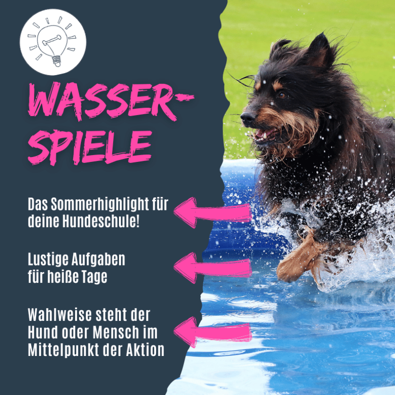 Wasserspiele für die Hundeschule