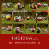 Treibball in der Hundeschule