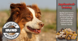 fb_post_jagdkontrolltraining