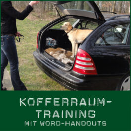 Kofferraumtraining