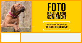 FB-Post_HalteAusschau_Wasserzeichen