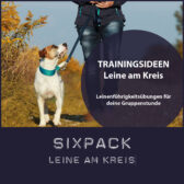 Shop-Sixpack_LeineAmKreis