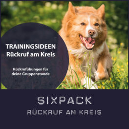 Shop-Sixpack_RückrufAmKreis