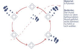 leine_kreis_freund_begleiten
