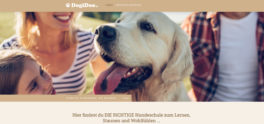 DogiDoo-Info_HSK Niewerth
