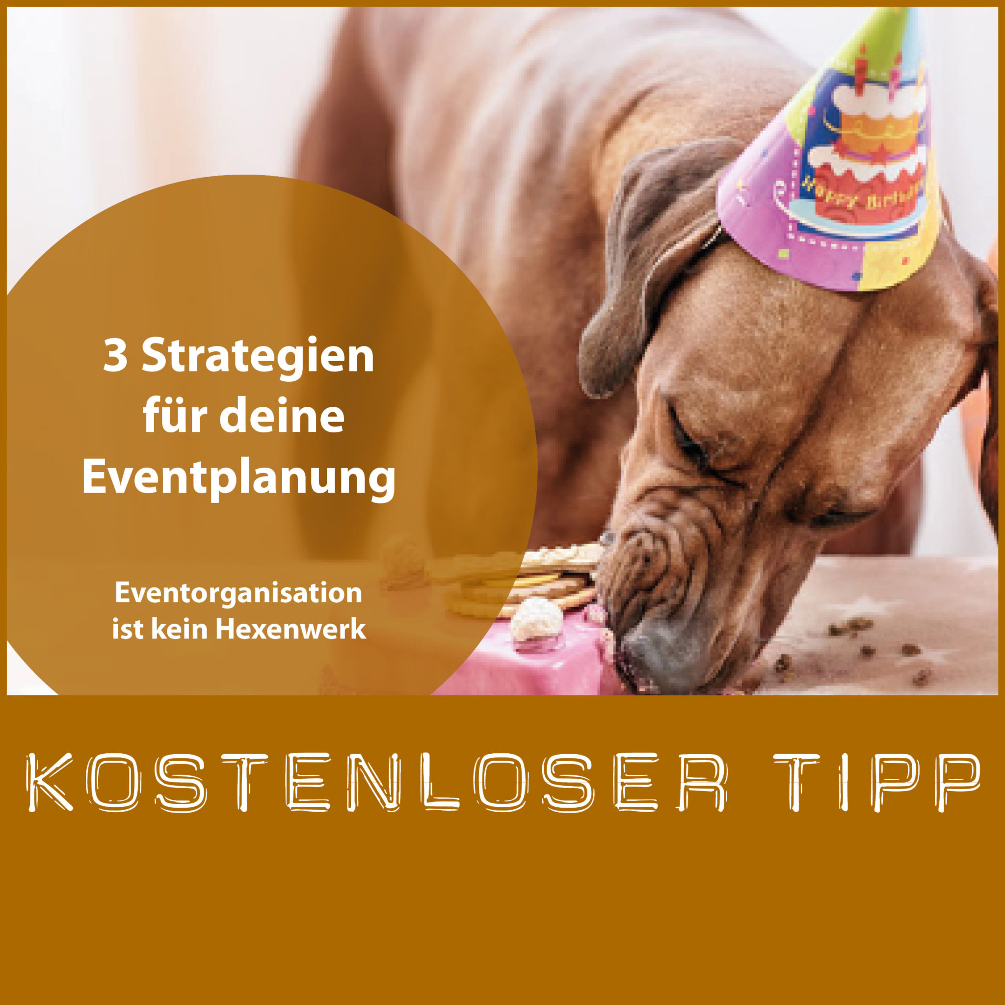 Tipps für Hundetrainer: 3 Strategien für deine Eventplanung ...