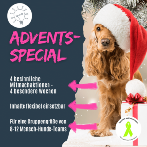 Weihnachtsideen für Hundetrainer