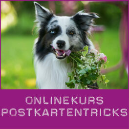 Shop-Postkartentricks_neu