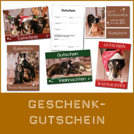 Shop-Geschenkgutschein