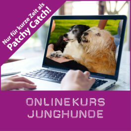 Shop-onlineJunghundePatchy