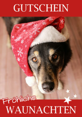 weihnachtsgutschein_hoch_2020