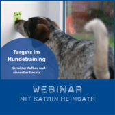 Shop-Katrin-Heimsath-Targets