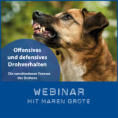 Shop-Maren-Grote_Drohen