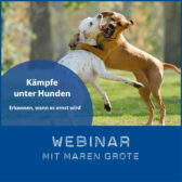 Shop-Maren-Grote_Kämpfe