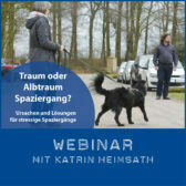 Shop-AlbtraumSpaziergang