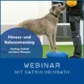 Shop-FitnessBalancetraining