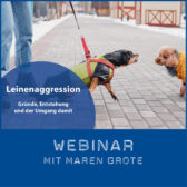 Shop-Leinenaggression