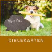 Shop-Zielekarten